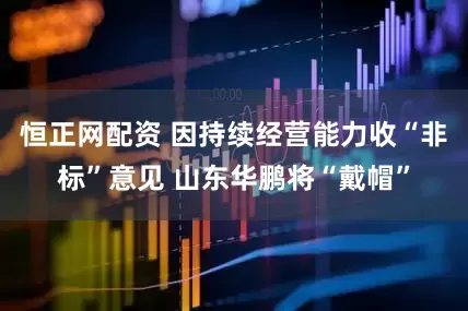 恒正网配资 因持续经营能力收“非标”意见 山东华鹏将“戴帽”