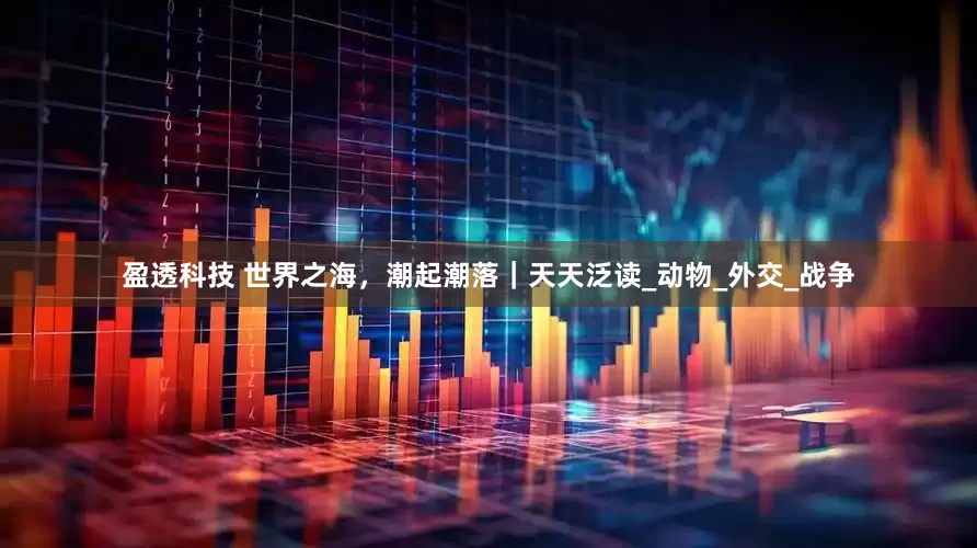 盈透科技 世界之海，潮起潮落｜天天泛读_动物_外交_战争